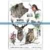 Katzelkraft - INTO THE WILD - A5 STAMPS -Bürobedarf Verkauf 2811