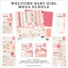 Echo Park Welcome Baby Girl Mega Bundle -Bürobedarf Verkauf echo park welcome baby girl mega bundle wbg233050