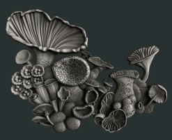 Zuri - Mushroom Bloom Set 4